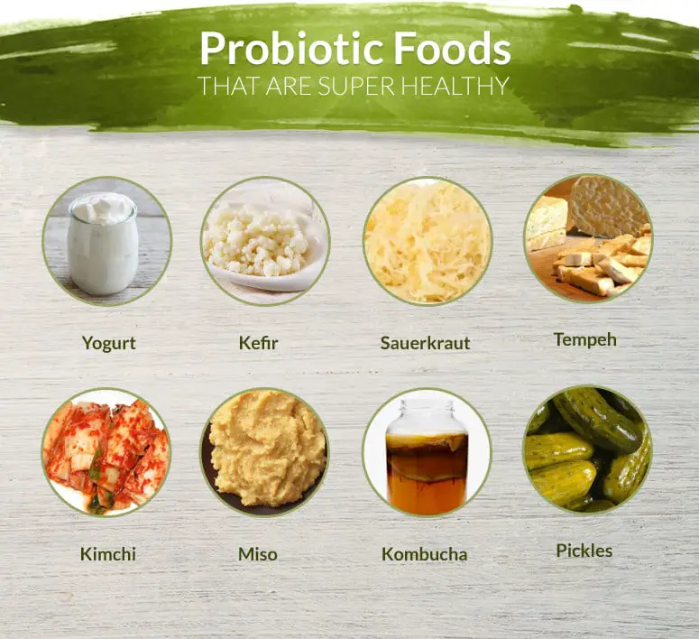 13 Best Foods for Probiotics