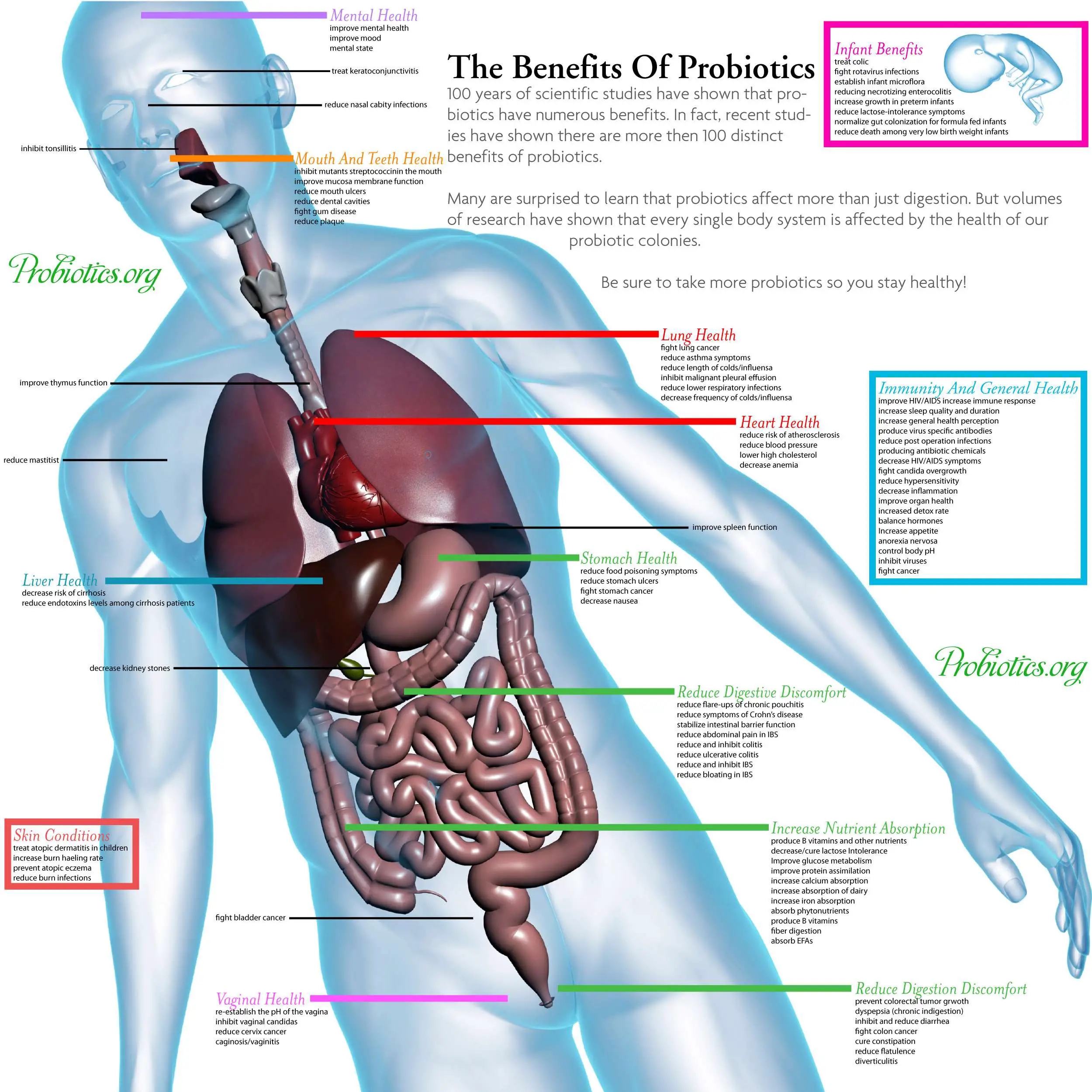 144 Benefits of Probiotics  Probiotics.org