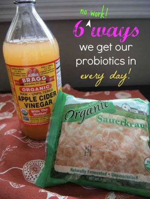 6 Easy Ways to Slip Probiotics into Your Family Every Day ...