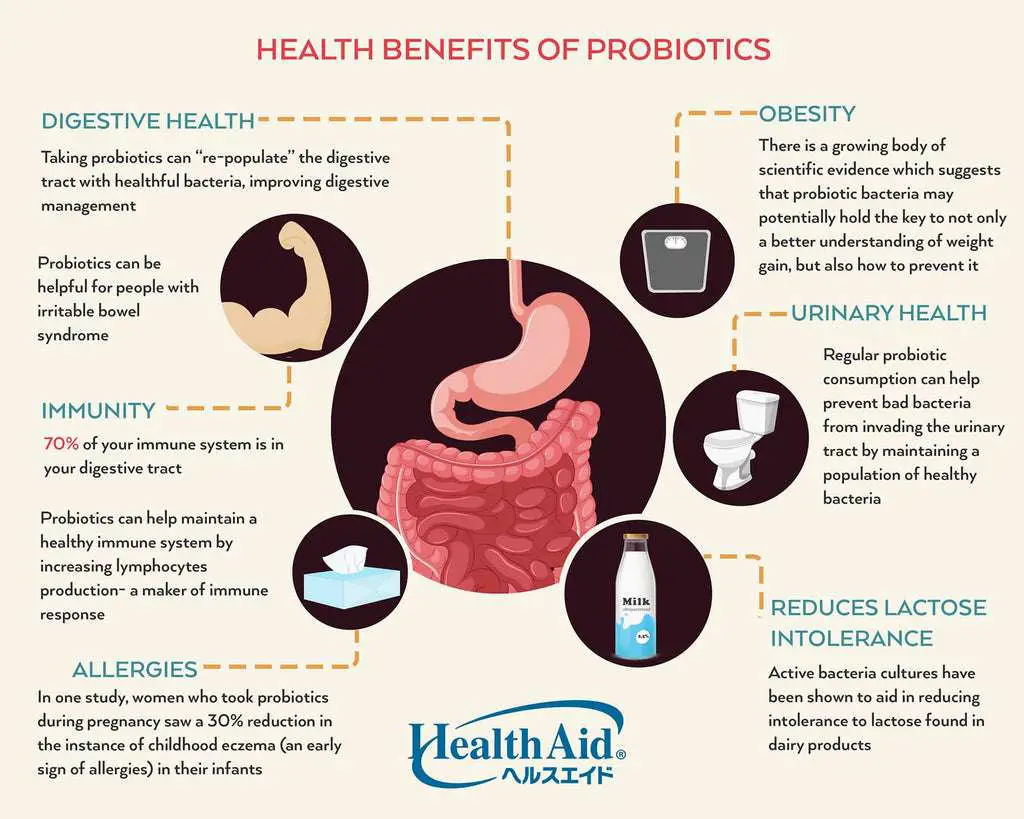 6 ways how Probiotics can contribute to your health â VPharma
