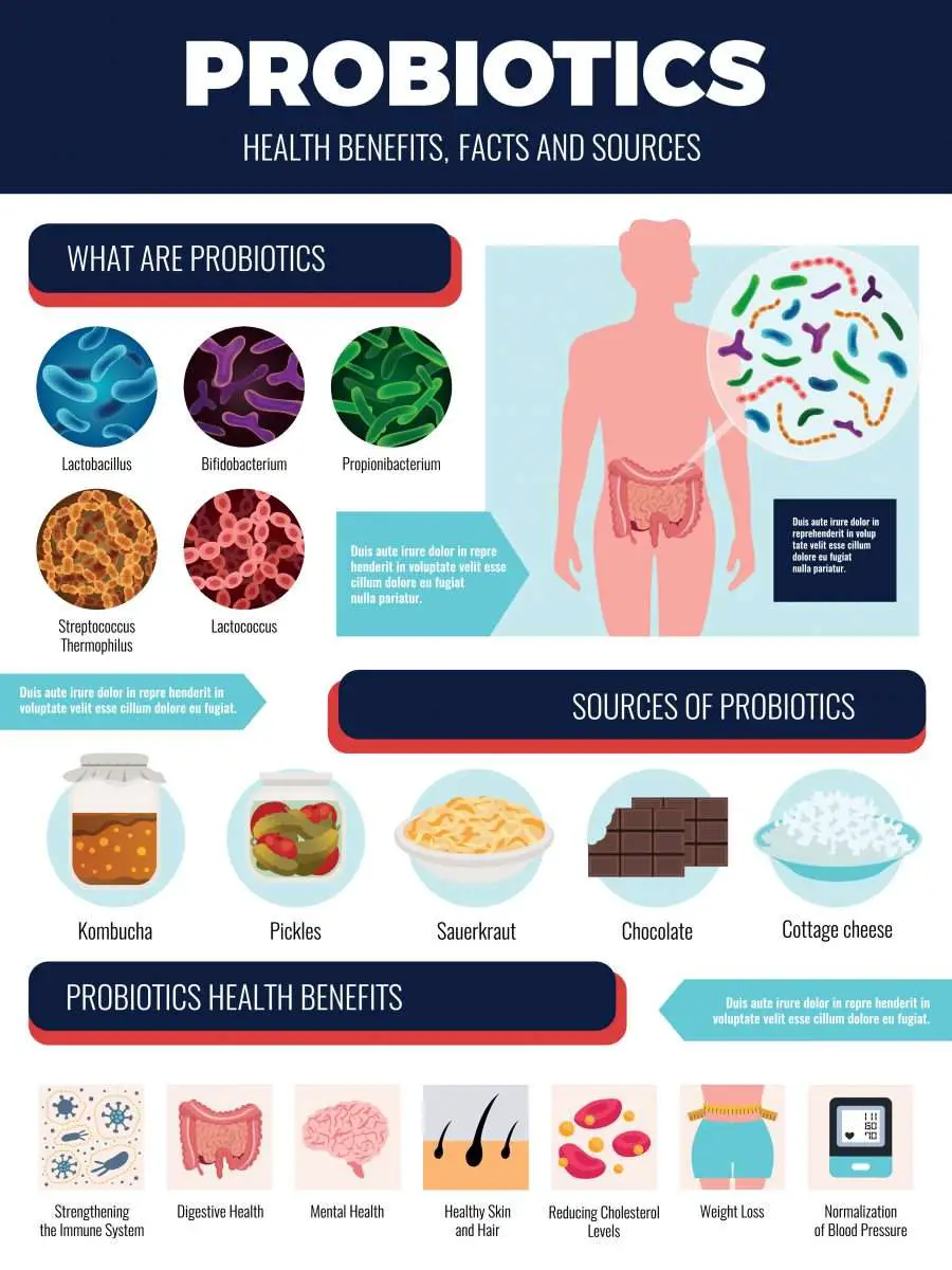 8 Health Benefits of Probiotics  Independent Health Agents