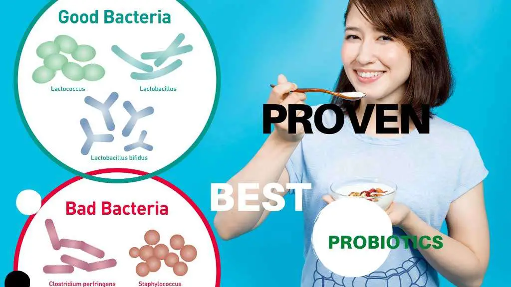 8 PROVEN and BEST probiotics to reduce belly fat