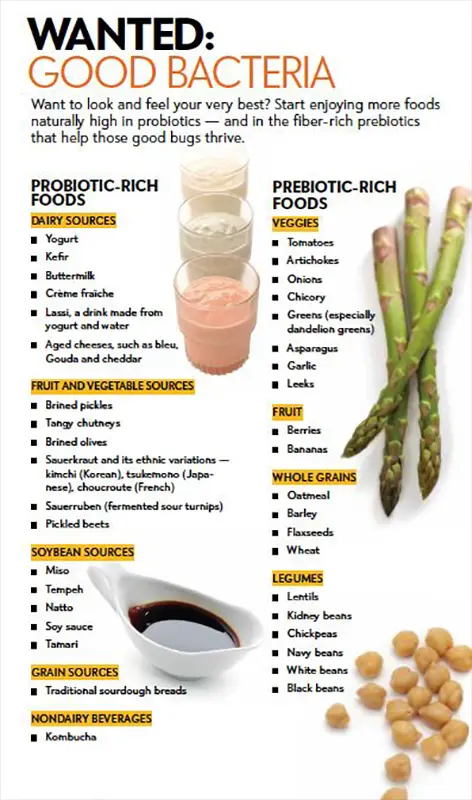 Best Probiotic Foods To Add to Your Diet
