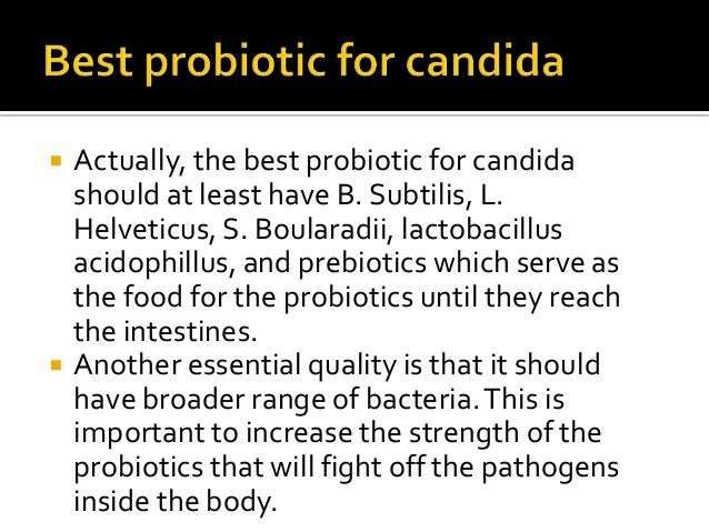 Best Probiotic For Candida