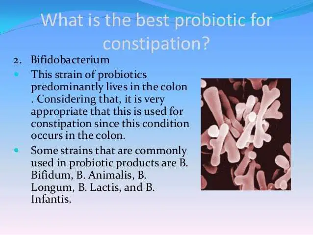 Best Probiotic For Constipation