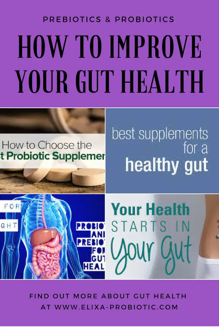 Best Probiotic Products For Gut Health, rebuilding gut ...
