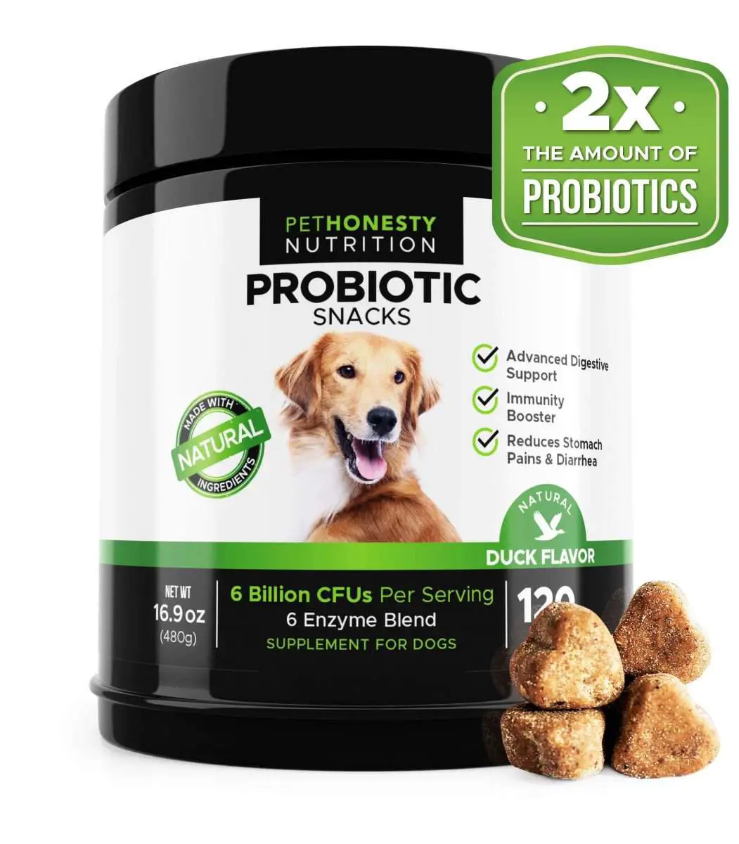 Best Rated in Dog Probiotic Supplements &  Helpful Customer Reviews ...