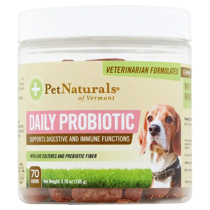 Daily Probiotic for Dogs Digestive Health Supplement, 70 Bite Sized ...