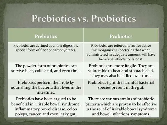 Difference Between Prebiotic and Probiotic