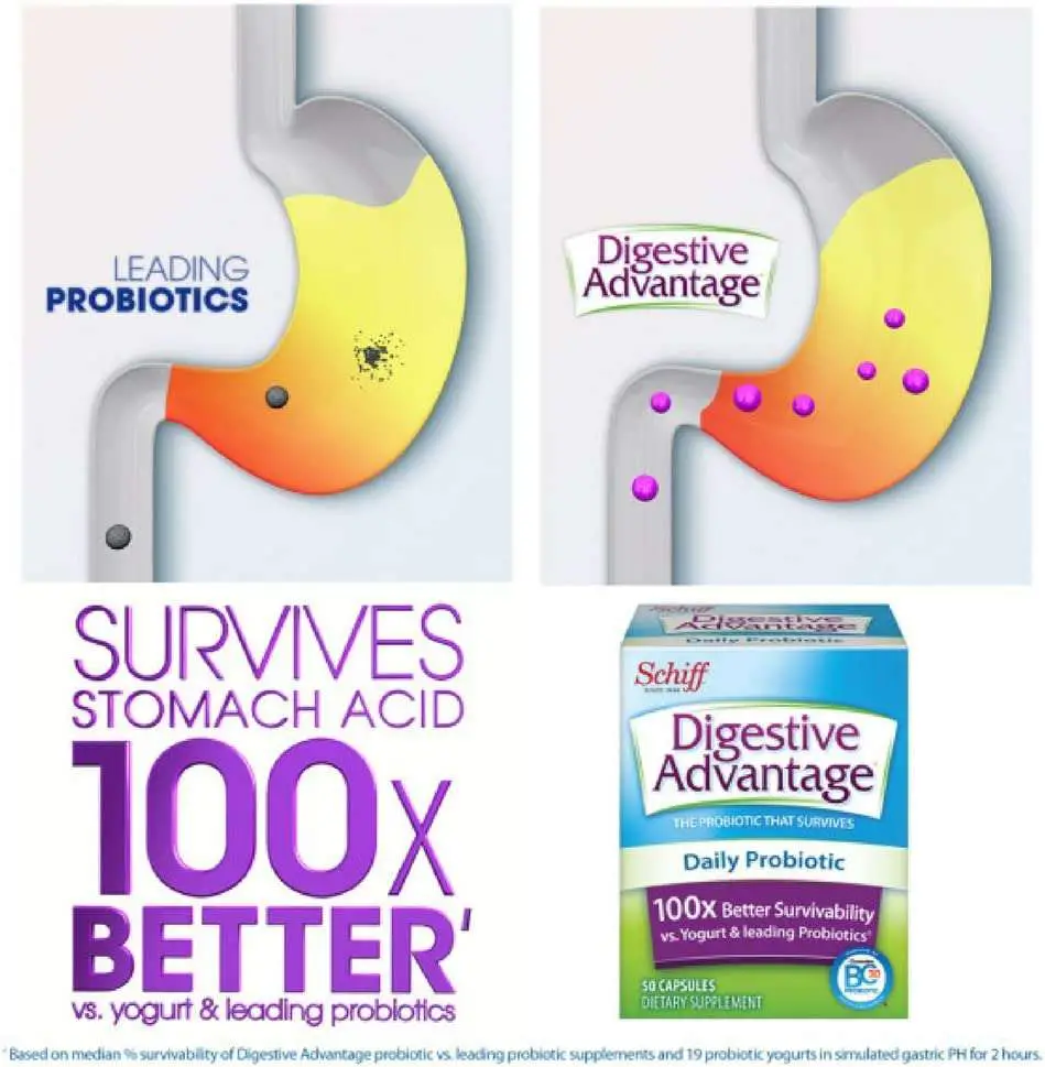 Digestive Advantage Daily Probiotic, 50 Capsules (Pack of 3 ...