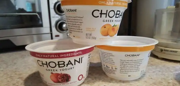 Does ALL Yogurt Have Probiotics In Them?