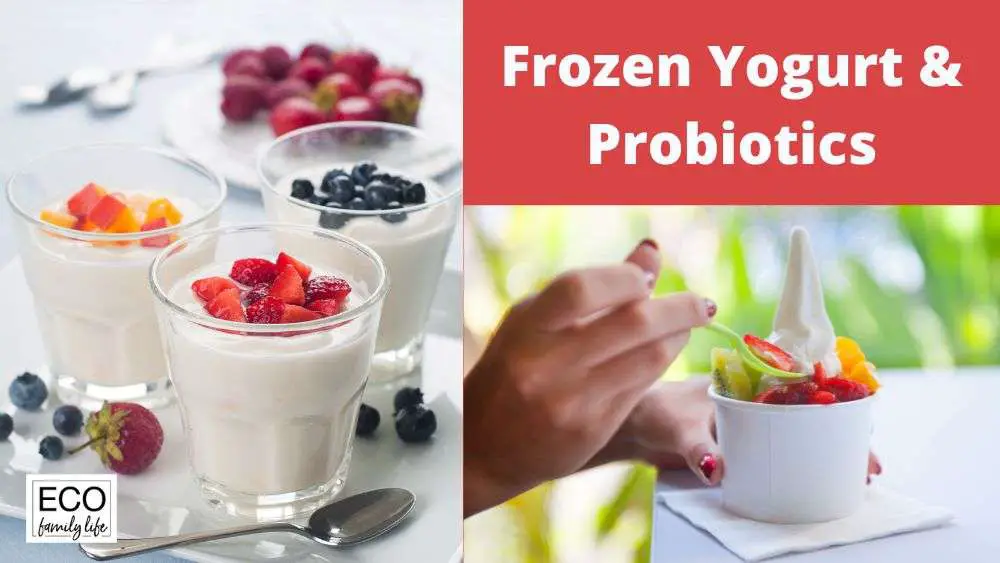 Does Freezing Yogurt Kill Probiotics? (Answered!)
