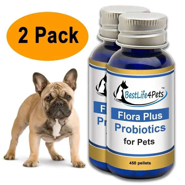 FloraPlus Advanced Probiotics for Dogs and Cats in 2020