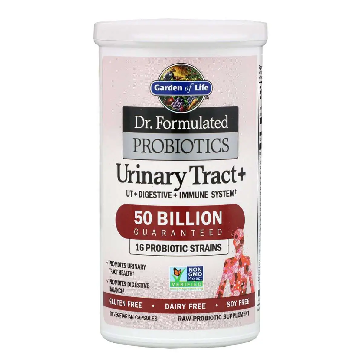 Garden of Life, Dr. Formulated Probiotics, Urinary Tract+, 60 ...