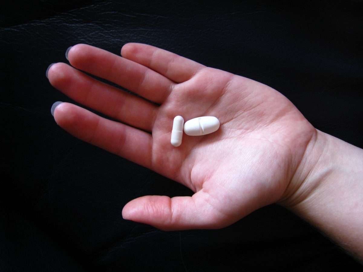 Gut Talk: Should You Be Taking Probiotics?