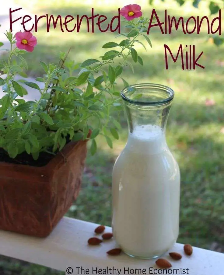Homemade Probiotic Almond Milk