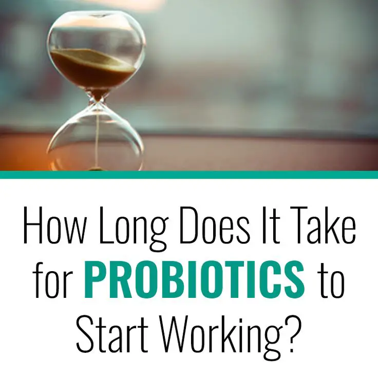 How Long Does It Take For Probiotics To Start Working?