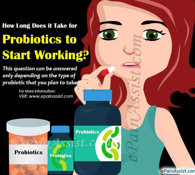 How Long Does it Take for Probiotics to Start Working?