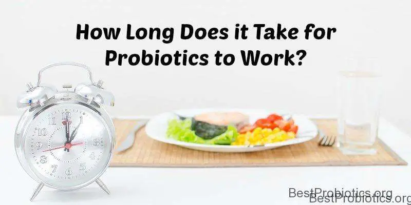 How Long Does it Take for Probiotics to Work?