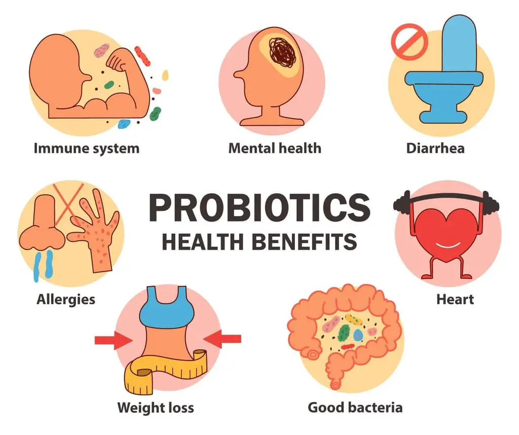How Long Does It Take Probiotics to Work?
