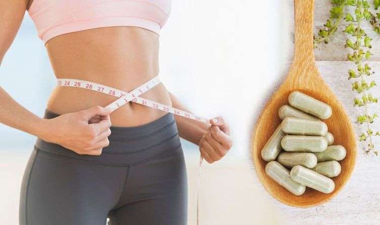 How the Best Probiotic Supplements Can Help You Lose Weight &  Belly Fat ...