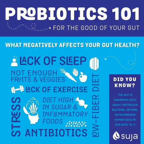 Immediate Health Benefits Of Taking Probiotics