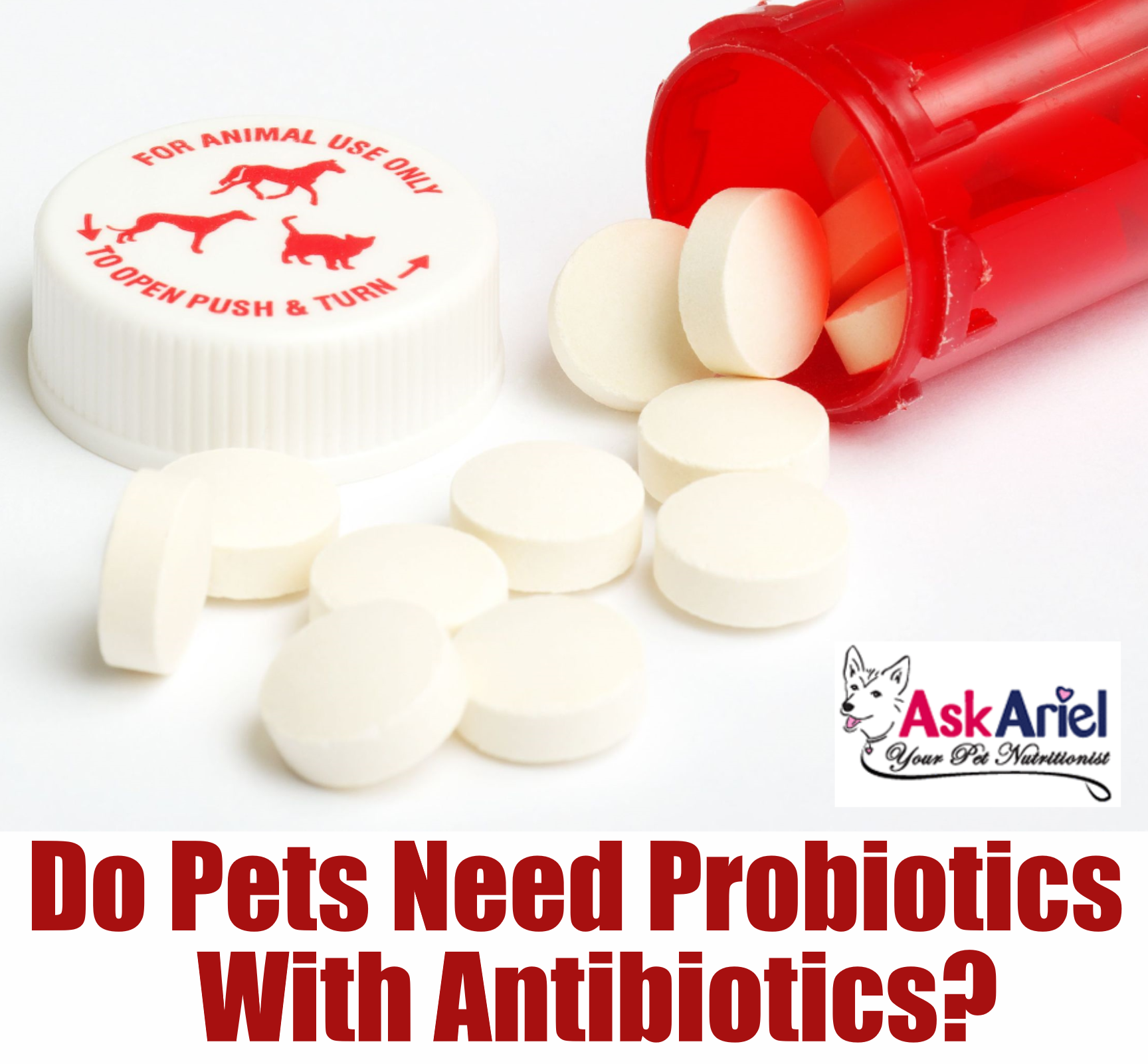 Natural Prebiotics &  Probiotics for Dogs &  Cats
