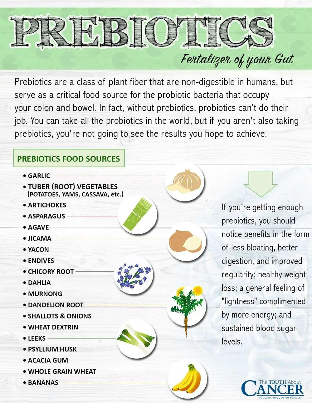 Prebiotics and Probiotics: Why You Need Both For a Healthy ...