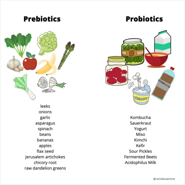 Prebiotics &  Probiotics  Rachel Eva