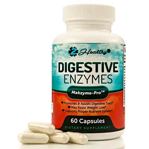 Premium Digestive Enzymes with Probiotics  Bromelain Enzyme Supplement ...