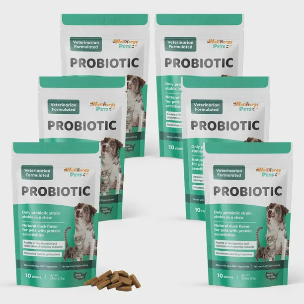 Probiotic for Dogs &  Cats, Travel Pack (6)