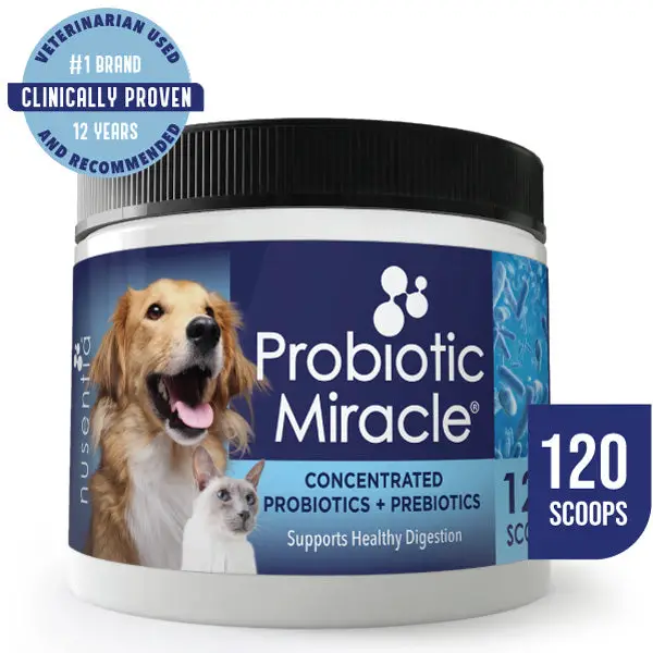 Probiotic MiracleÂ® : Probiotics for Dogs, Cats â Nusentia