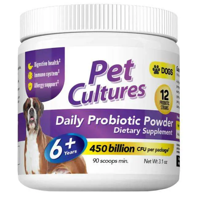 Probiotic Powder for Dog Support Immune System Good Health ...