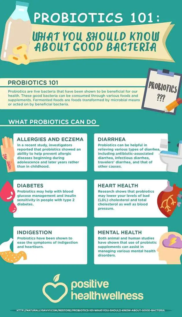 Probiotics 101: What You Should Know About Good Bacteria ...