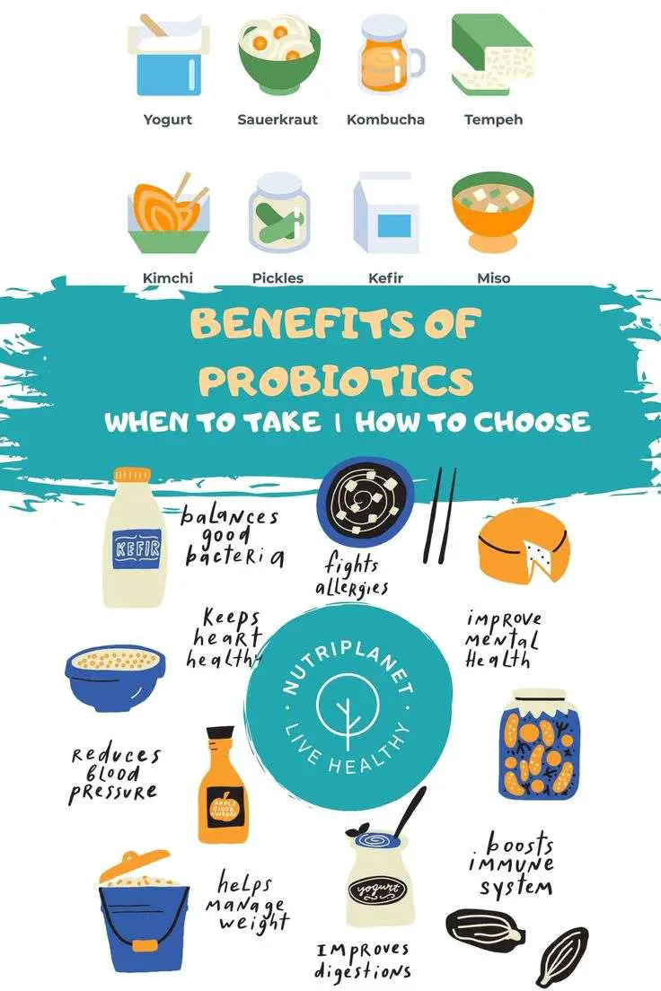 Probiotics: Benefits, How to Choose, When to Take ...