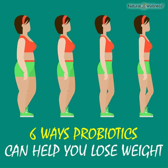 Probiotics Can Help You Lose Weight
