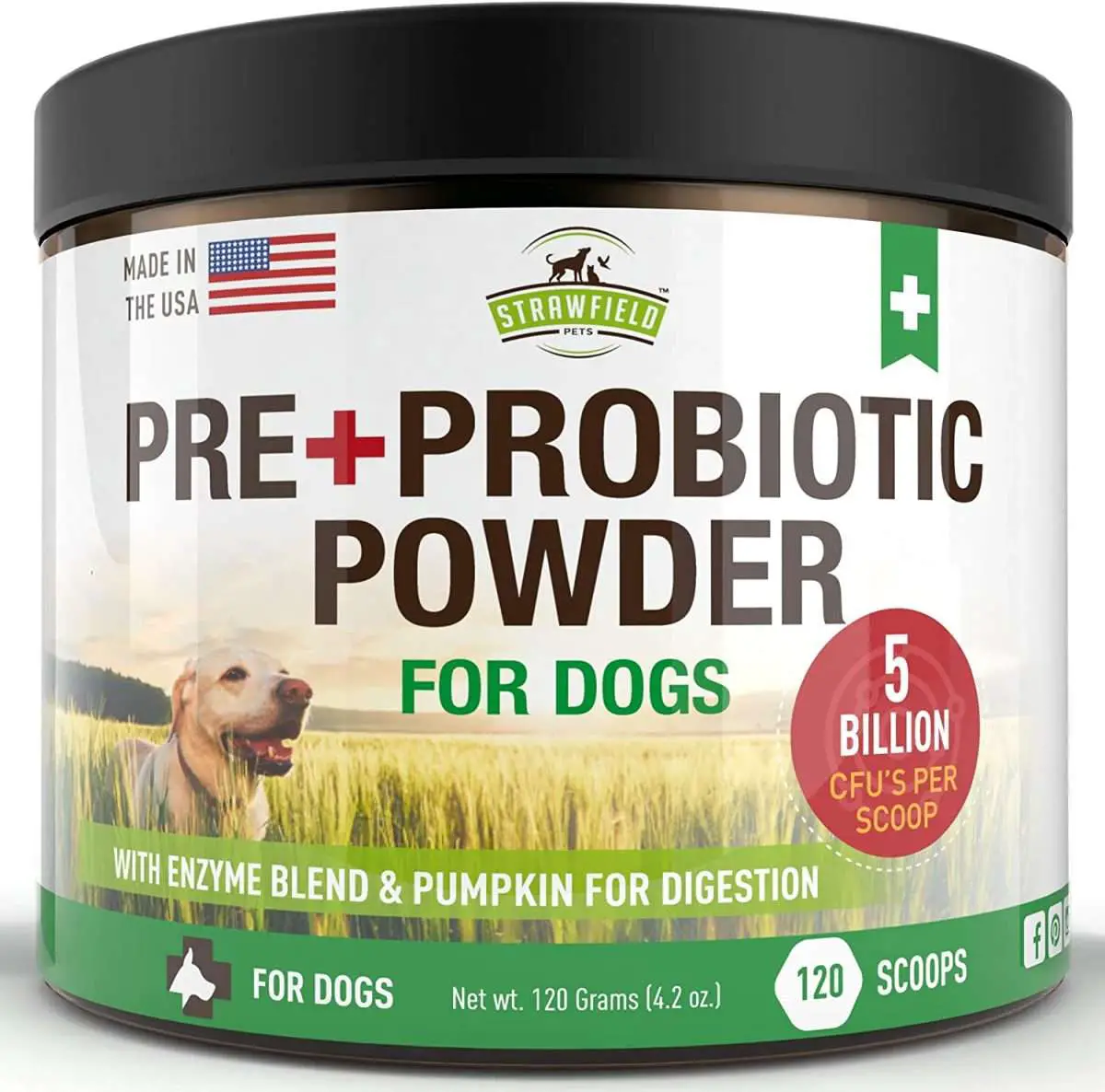 Probiotics for Dogs, Digestive Enzymes, Prebiotics, Pumpkin