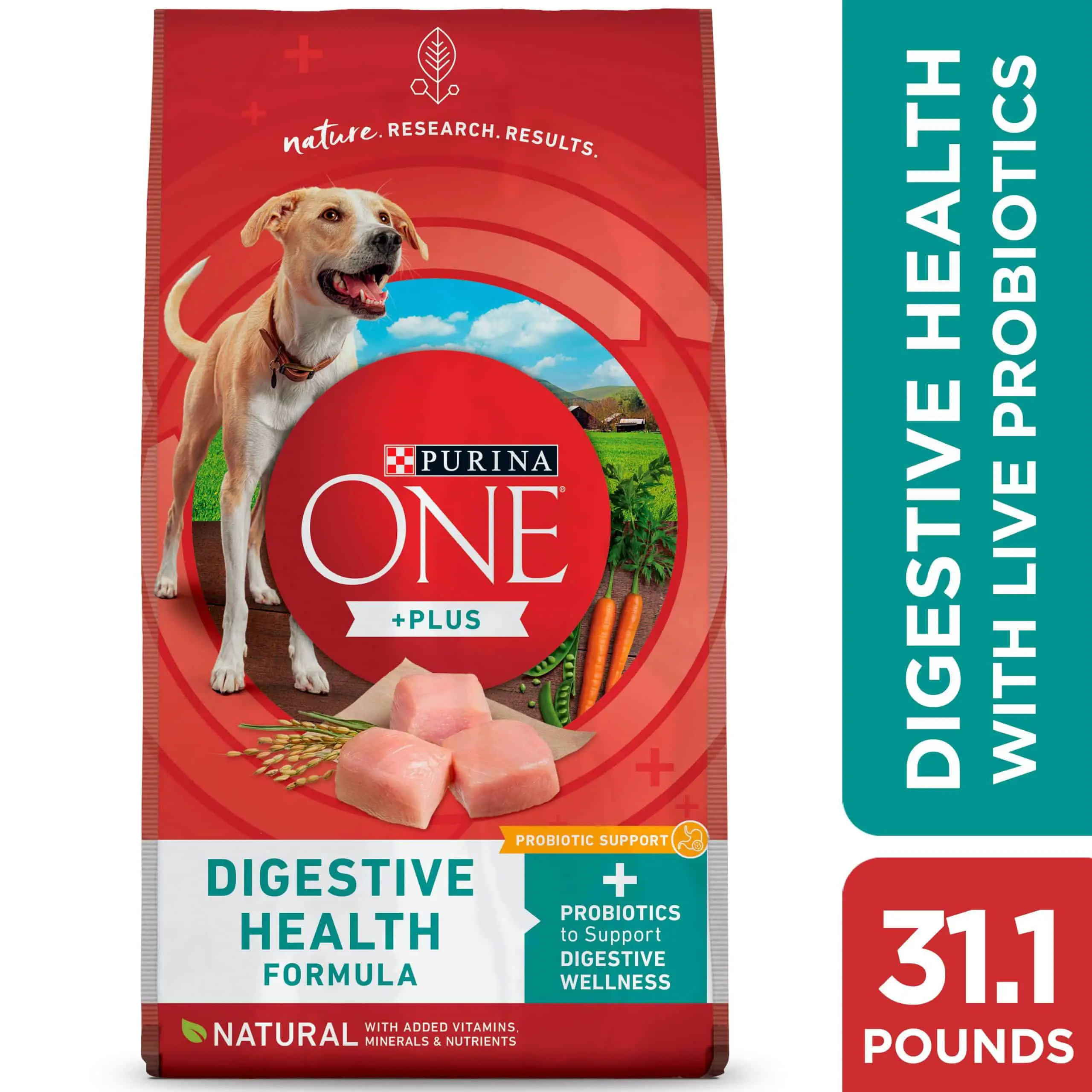 Purina ONE Dog Digestive Support, Natural Dry Dog Food, +Plus Digestive ...