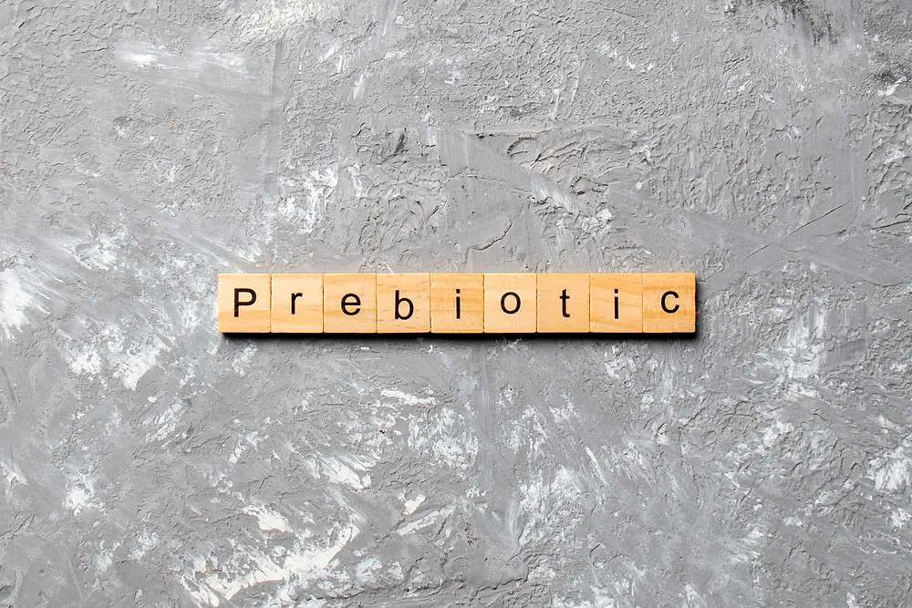 Should I Take A Probiotic?