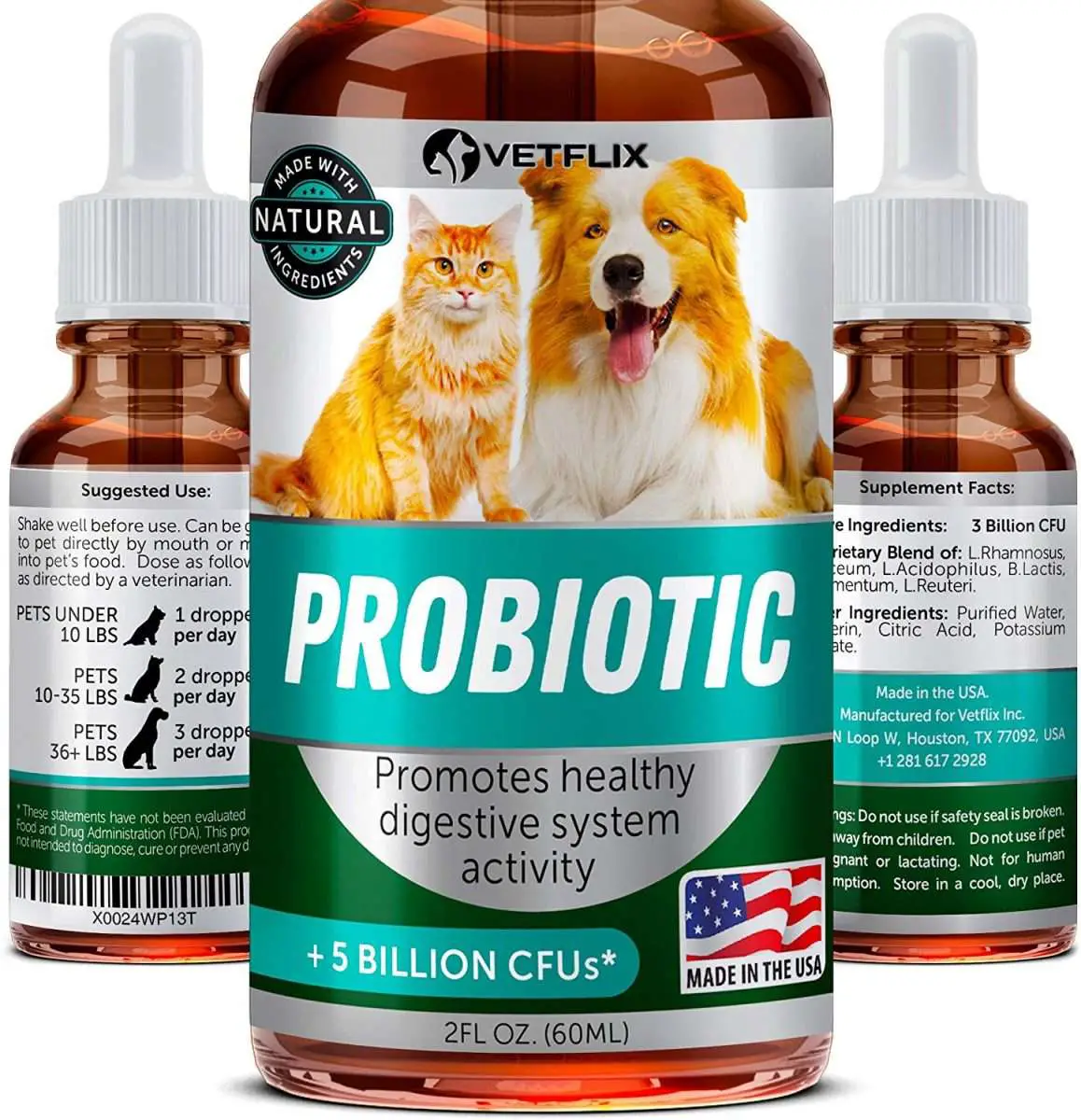 The 5 Best Probiotics for Cats of 2020 + Why They Are Beneficial