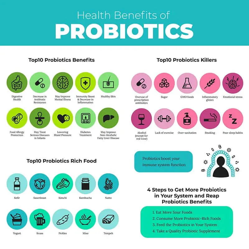 The Benefits of Taking Prebiotics and Probiotics  Love a Wholistic Life
