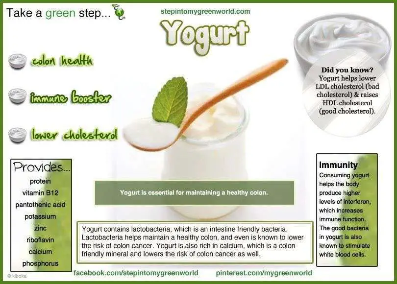 the benefits of Yogurt food, nutrition, diet, healthy ...