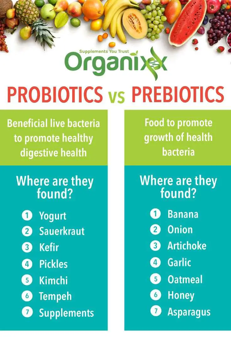 The Best Prebiotic Foods and Why You Need Them
