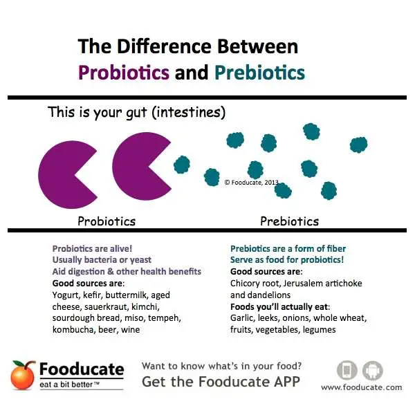 This Simple Graphic Explains the Difference Between Probiotics and ...