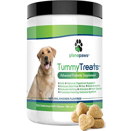 Top #10 Best Probiotics For Dogs With Yeast Infection in April 2021