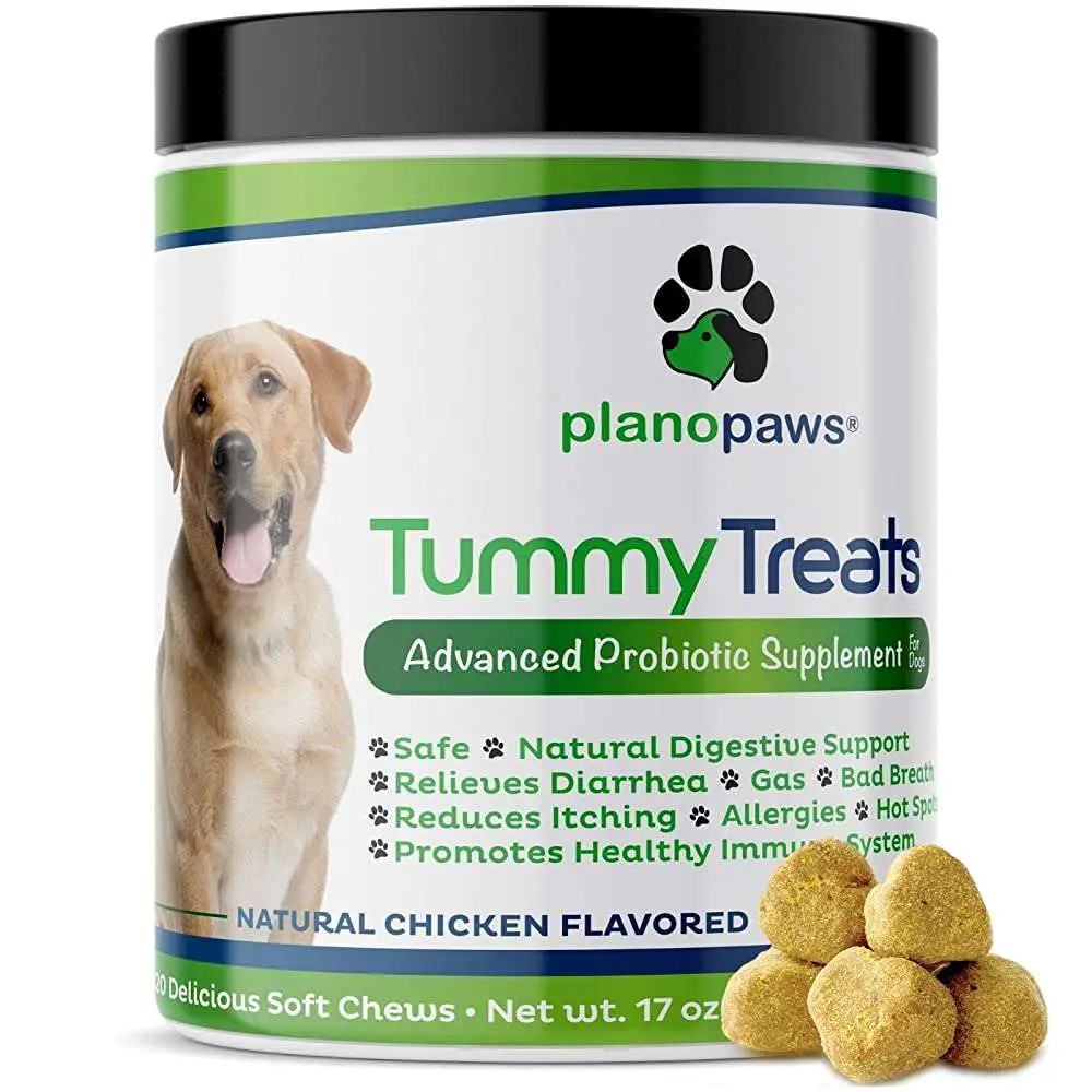 Tummy Treats, Best Probiotics for Dogs, Helps Dog Diarrhea, Dog Bad ...