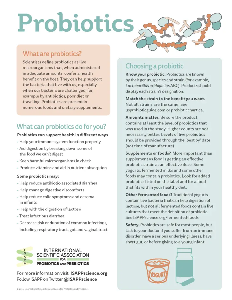 Understanding probiotics and their benefits: an ISAPP infographic