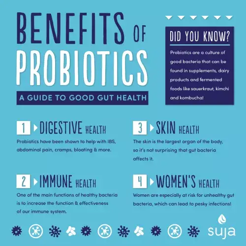 What are the benefits of taking probiotic supplements?