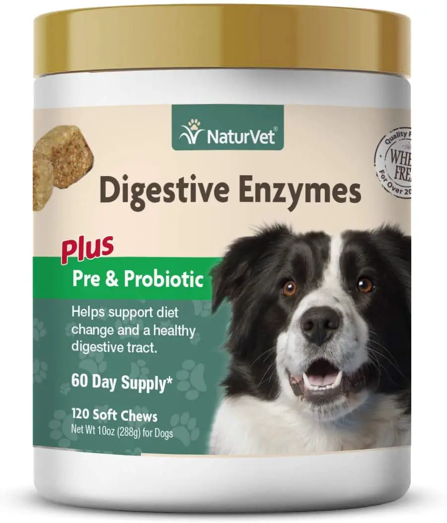 What are the Best Probiotics for Dogs? Best dog suppliments