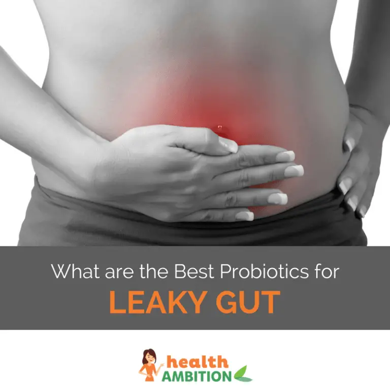 What Are The Best Probiotics For Leaky Gut?